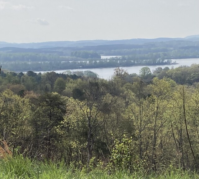 435 Riversound Dr, Dayton, TN 37321 - photo 6