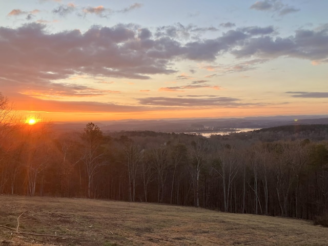435 Riversound Dr, Dayton, TN 37321 - photo 2
