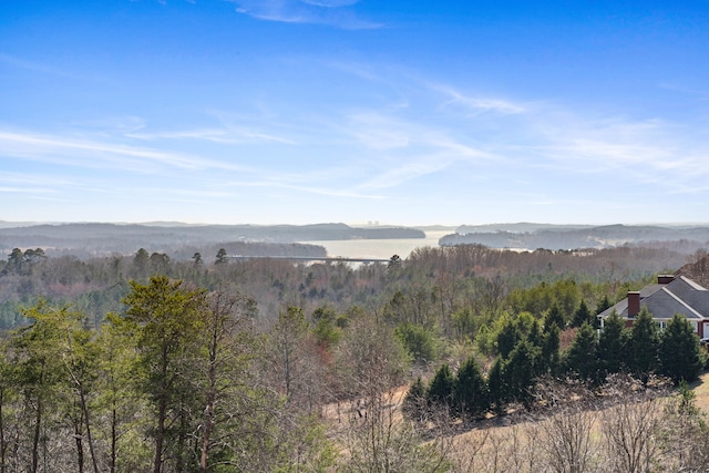 435 Riversound Dr, Dayton, TN 37321 - photo 3