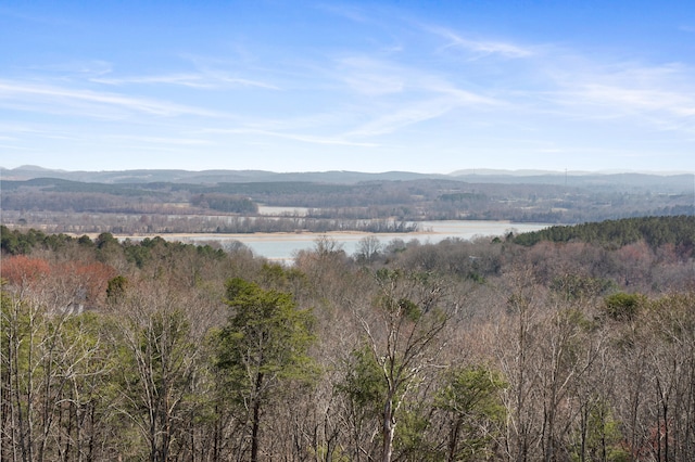 435 Riversound Dr, Dayton, TN 37321 - photo 1