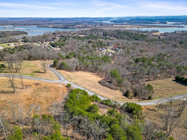 435 Riversound Dr, Dayton, TN 37321 - photo 13