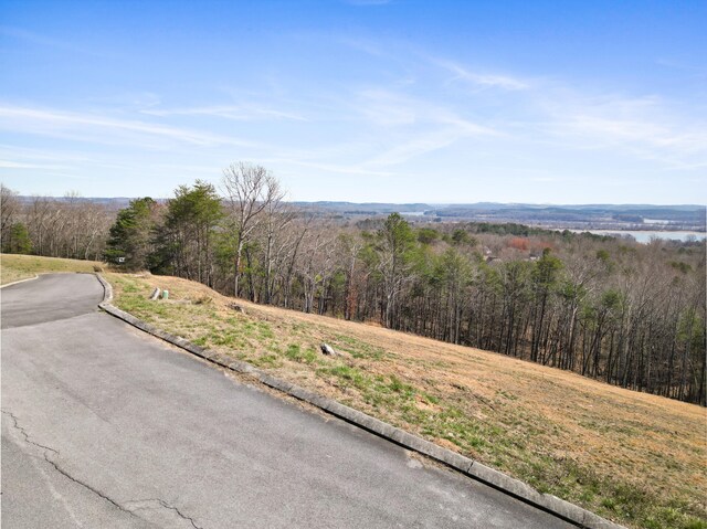435 Riversound Dr, Dayton, TN 37321 - photo 7