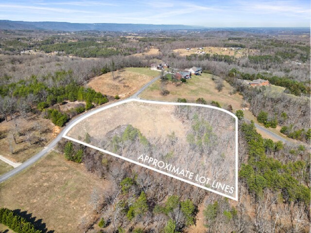 435 Riversound Dr, Dayton, TN 37321 - photo 9
