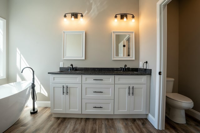 bathroom with double vanity, wood finished floors, toilet, and a sink