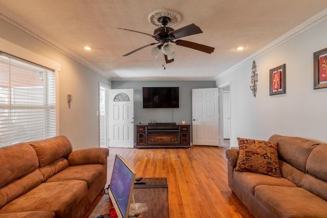 living area featuring crown molding, a textured ceiling, light wood-style floors, and ceiling fan