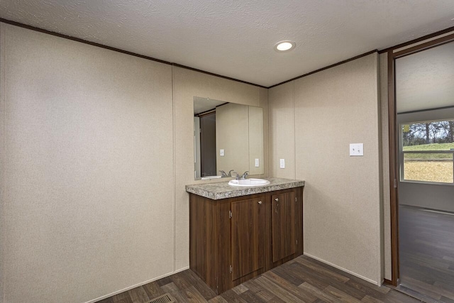 bathroom featuring wood finished floors, vanity, ornamental molding, a textured wall, and a textured ceiling