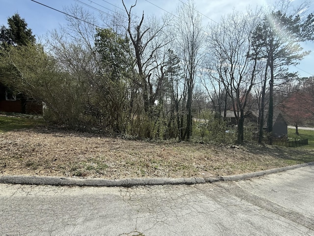 804 Amy Ln, Chattanooga, TN 37421 - photo 4