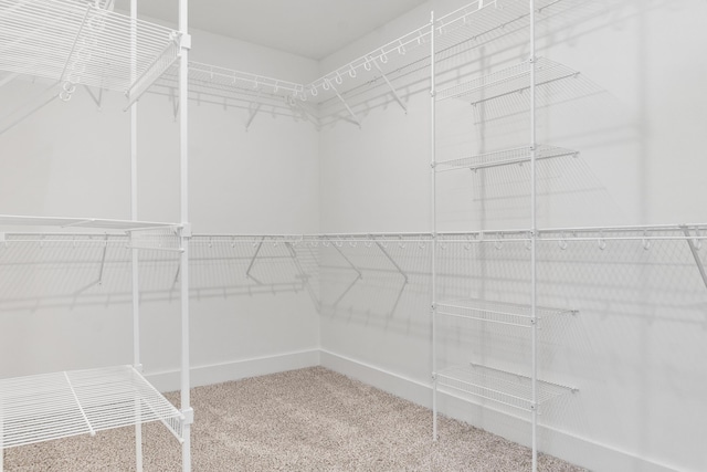 walk in closet with carpet floors