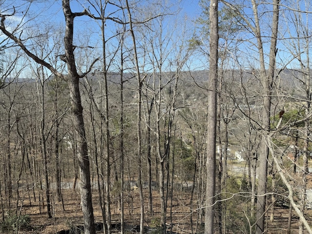 view of landscape featuring a view of trees