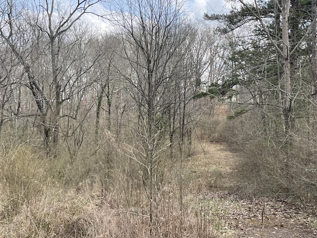 01 Livesay St, Crossville TN, 38555 land for sale