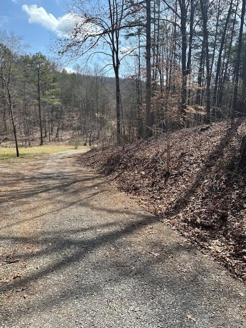 view of road featuring a wooded view