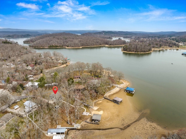 bird's eye view with a water and mountain view and a view of trees