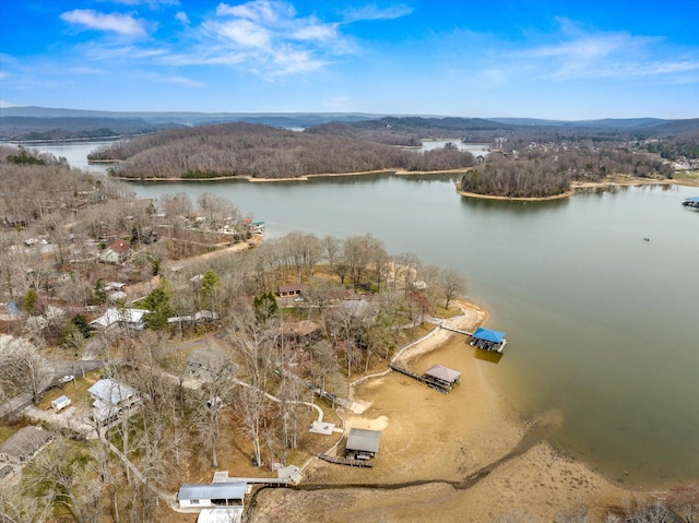 bird's eye view with a view of trees and a water and mountain view