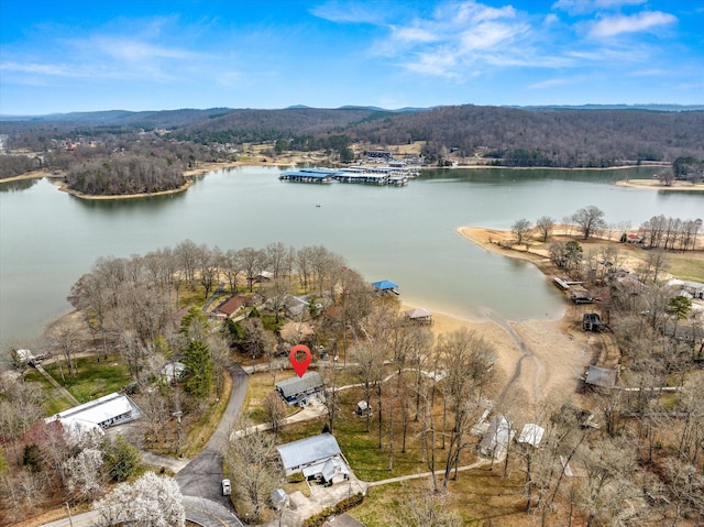 bird's eye view featuring a forest view and a water view