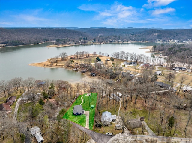 aerial view featuring a wooded view and a water view