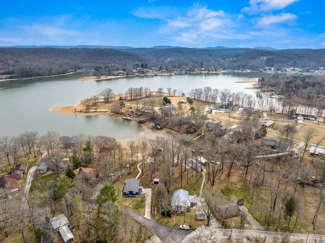 birds eye view of property with a view of trees and a water view