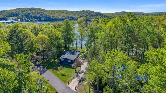 drone / aerial view with a water view and a wooded view