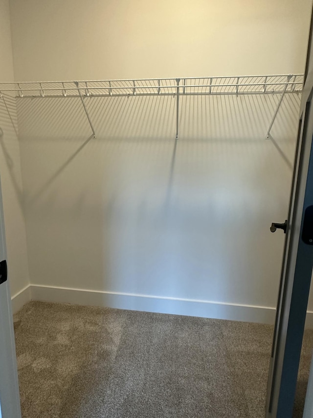 walk in closet featuring carpet flooring