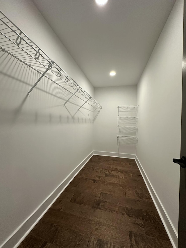 walk in closet with dark wood-type flooring