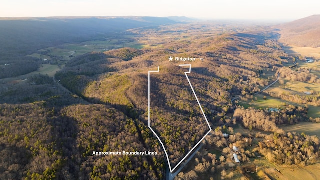 0 Hog Jowl Rd, Chickamauga, GA 30707
