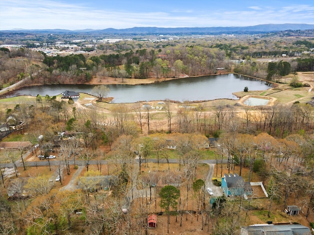 186 Joann Dr SE, Calhoun, GA 30701 - birds eye view of property with a forest view and a water view