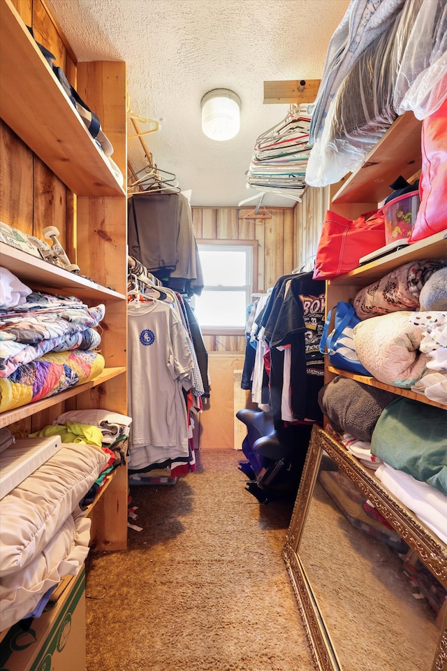 spacious closet with carpet