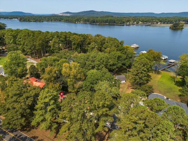 3144 Clemons Rd, Scottsboro, AL 35769 - photo 50