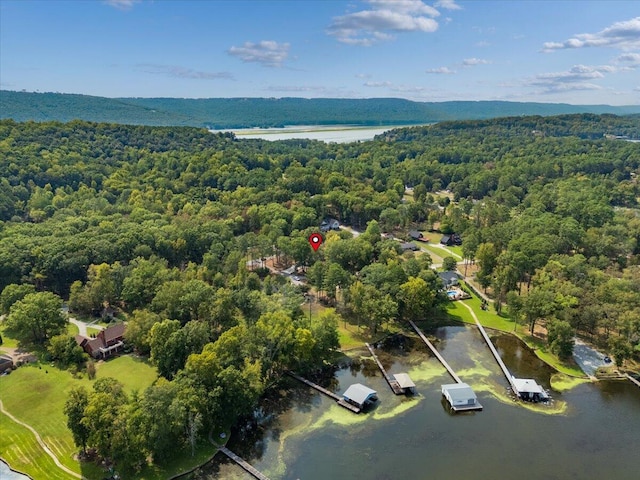 3144 Clemons Rd, Scottsboro, AL 35769 - photo 52