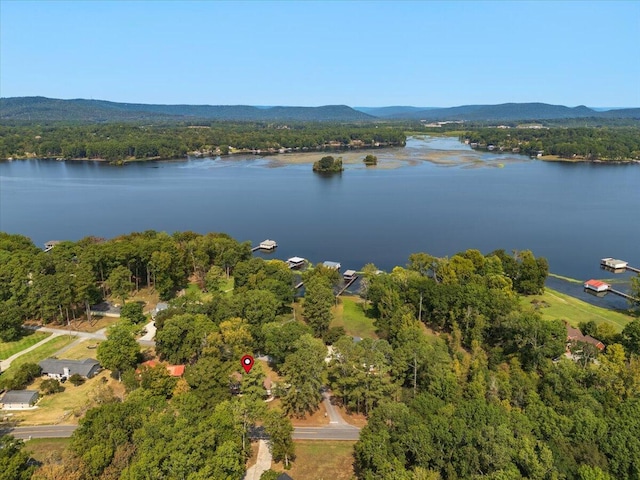 3144 Clemons Rd, Scottsboro, AL 35769 - photo 12