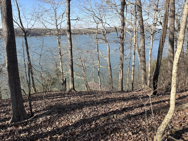 0 Crestwood Trl, Harrison, TN 37341 - photo 7