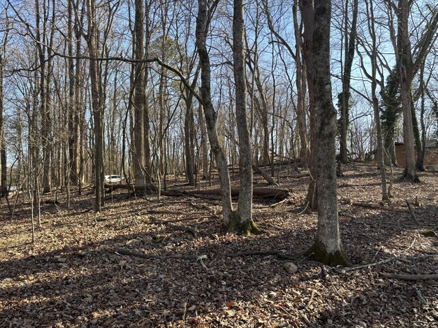 0 Crestwood Trl, Harrison, TN 37341 - photo 11