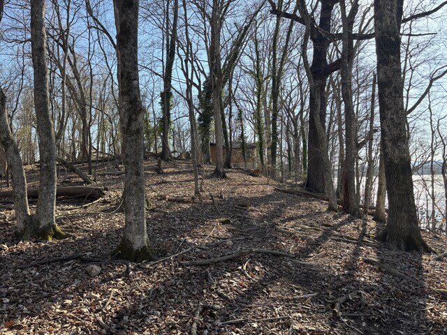 0 Crestwood Trl, Harrison, TN 37341 - photo 12