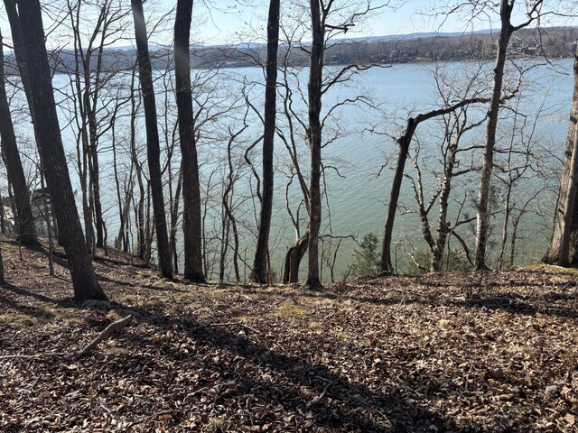 0 Crestwood Trl, Harrison, TN 37341 - photo 10