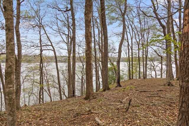 0 Crestwood Trl, Harrison, TN 37341 - photo 14