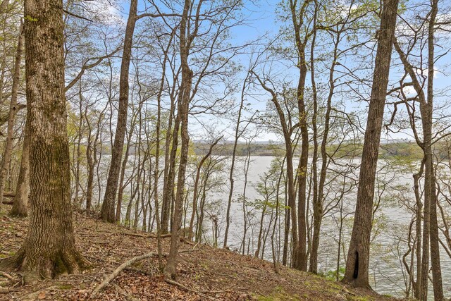 0 Crestwood Trl, Harrison, TN 37341 - photo 15