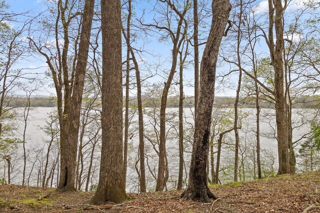 0 Crestwood Trl, Harrison, TN 37341 - photo 16