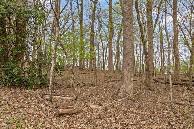 0 Crestwood Trl, Harrison, TN 37341 - photo 17
