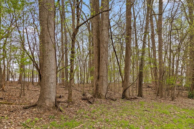 0 Crestwood Trl, Harrison, TN 37341 - photo 18