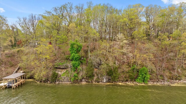 0 Crestwood Trl, Harrison, TN 37341 - photo 28