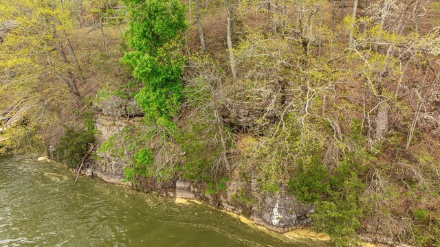 0 Crestwood Trl, Harrison, TN 37341 - photo 30