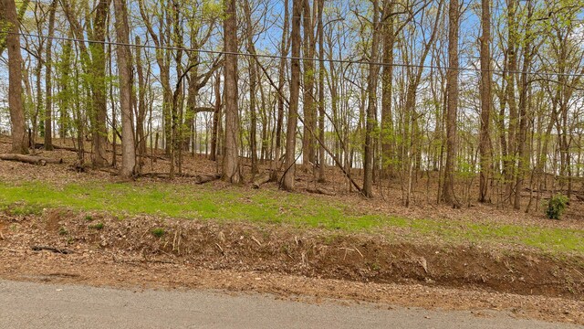 0 Crestwood Trl, Harrison, TN 37341 - photo 4