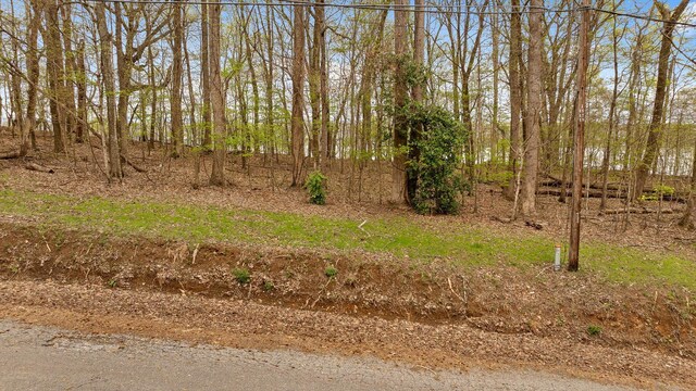 0 Crestwood Trl, Harrison, TN 37341 - photo 34