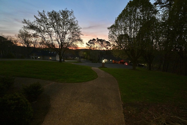 view of property's community with a yard