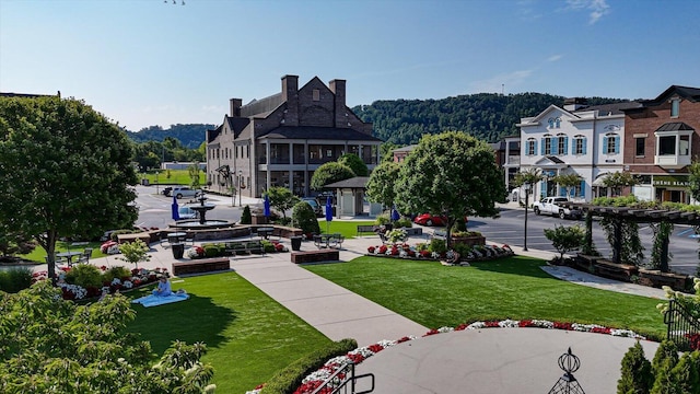 view of home's community with a yard
