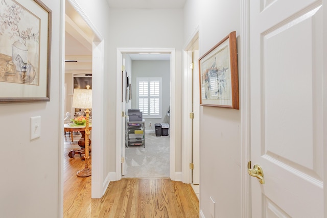 hall featuring light wood-style floors