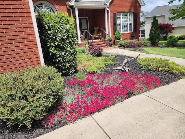 view of front of house with brick siding