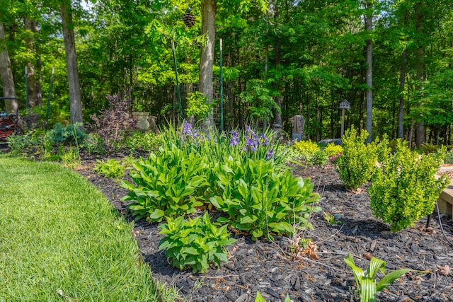 view of yard with a vegetable garden