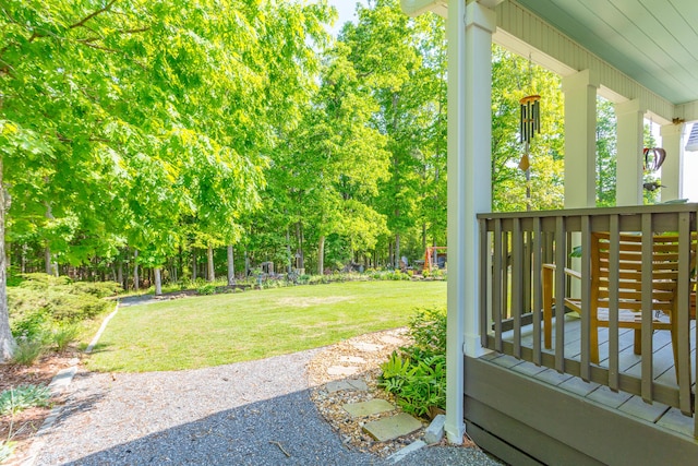 view of yard