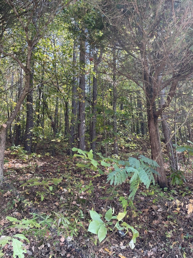902 Chestnut Wood Ln, Chattanooga, TN 37421