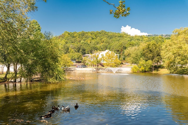 900 Mountain Creek Rd # 363, Chattanooga, TN 37405 - property view of water with a forest view